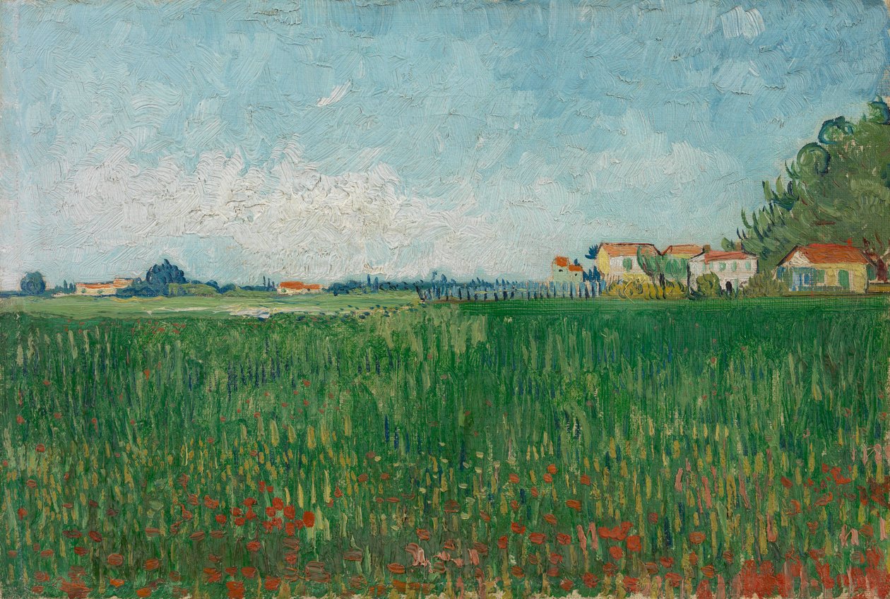 Kenttä unikot tekijältä Vincent van Gogh