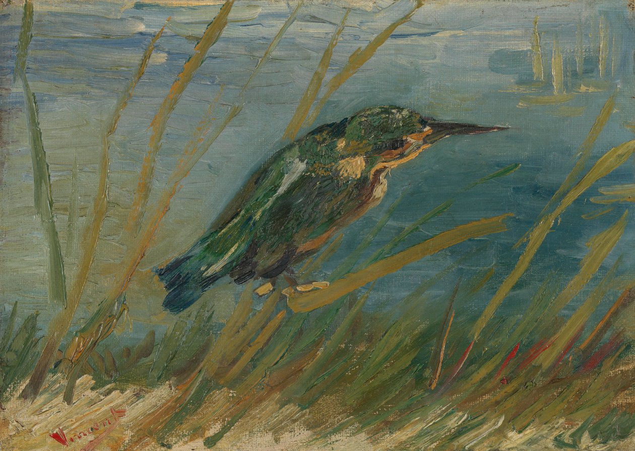 Kingfisher veden äärellä tekijältä Vincent van Gogh