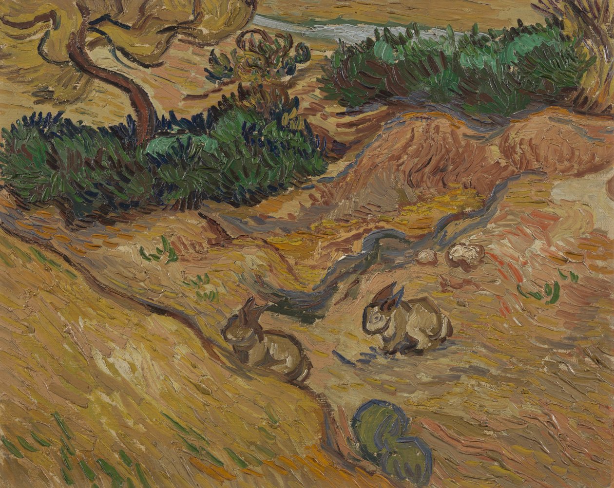 Maisema kanien kanssa tekijältä Vincent van Gogh