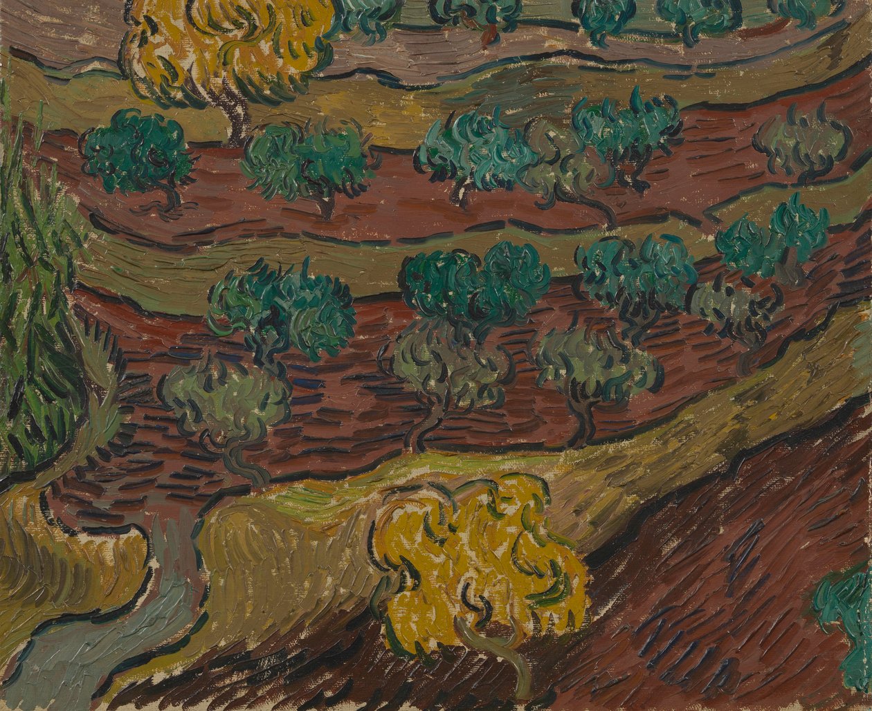 Oliivipuita rinteessä tekijältä Vincent van Gogh