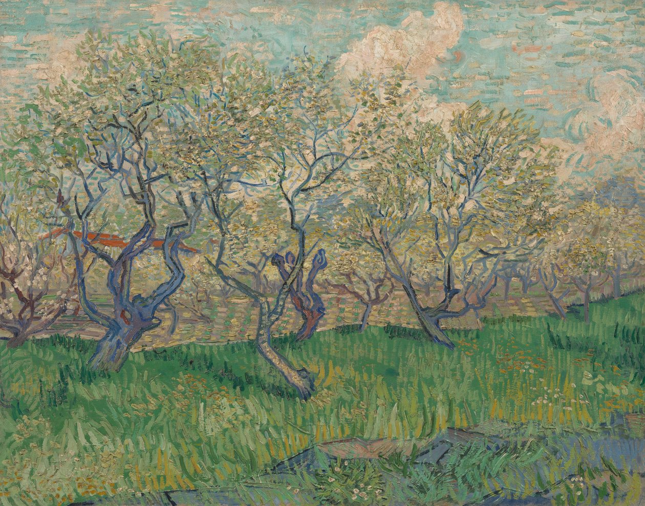 Hedelmätarha Blossomissa tekijältä Vincent van Gogh