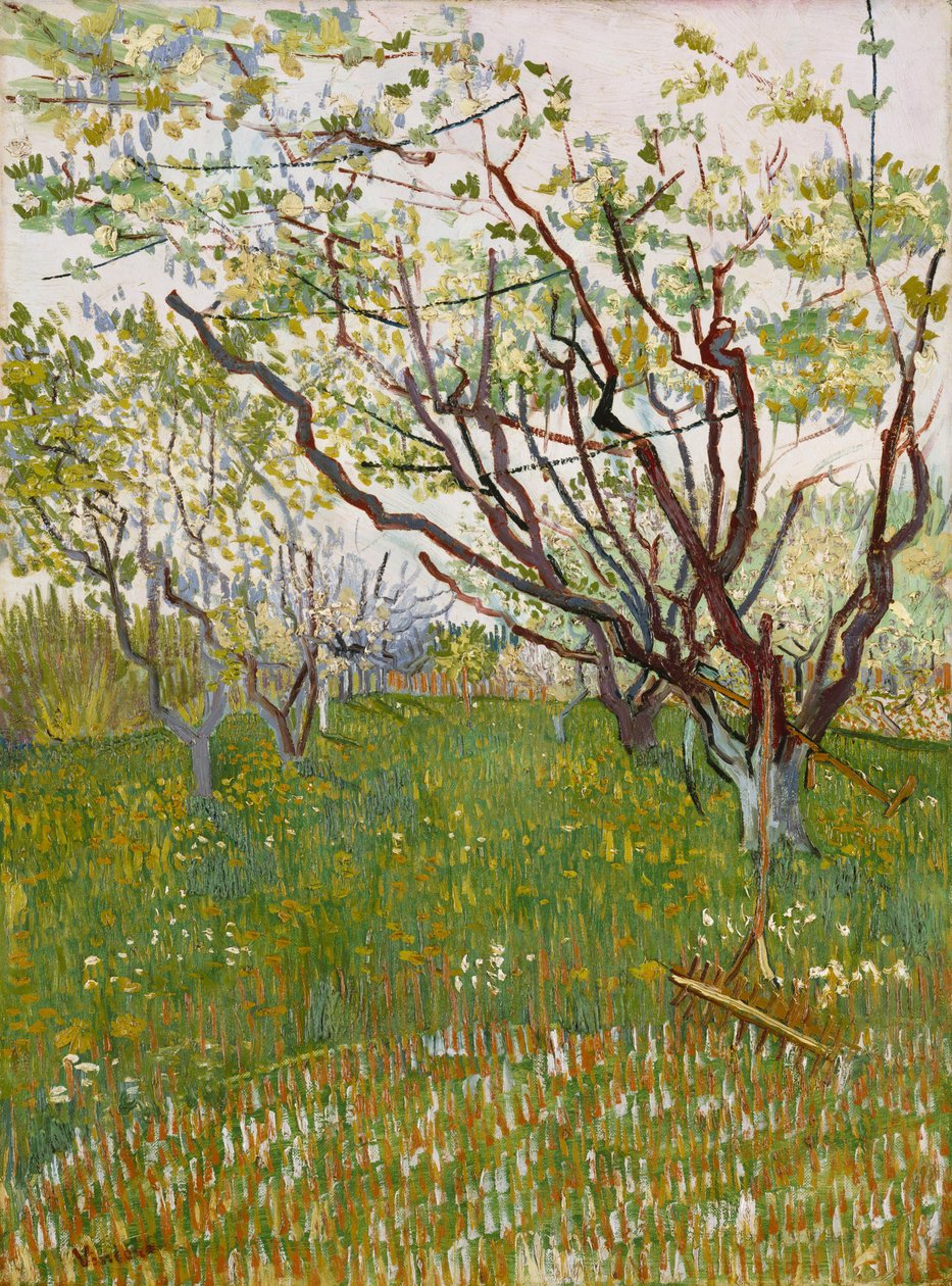 Kukkiva hedelmätarha tekijältä Vincent van Gogh