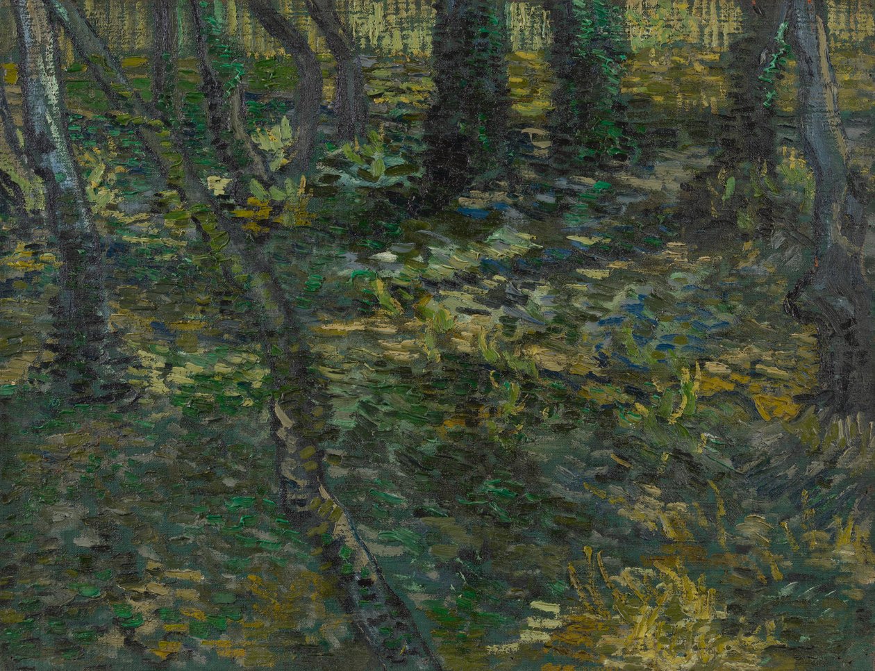 Aluskasvillisuus tekijältä Vincent van Gogh