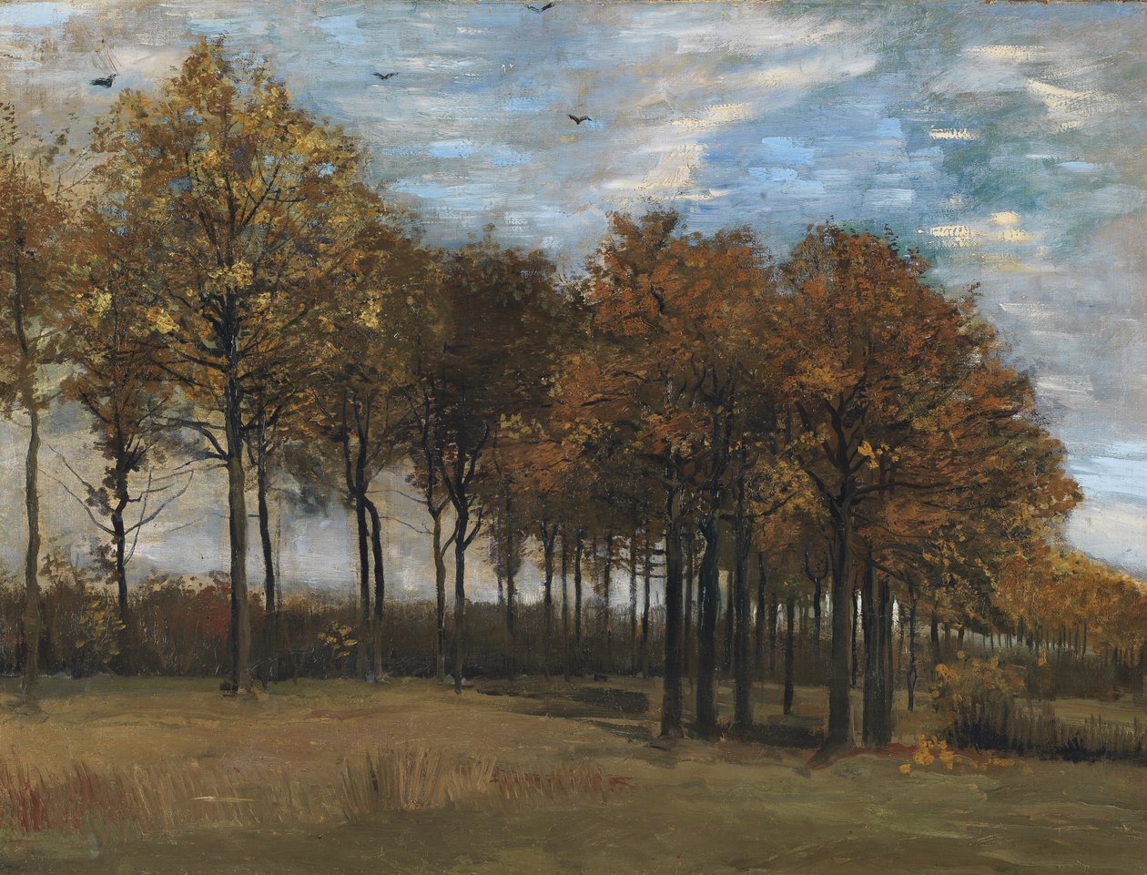 Syksyinen maisema, n. 1885 (öljy kankaalle asetettu taululle) tekijältä Vincent van Gogh