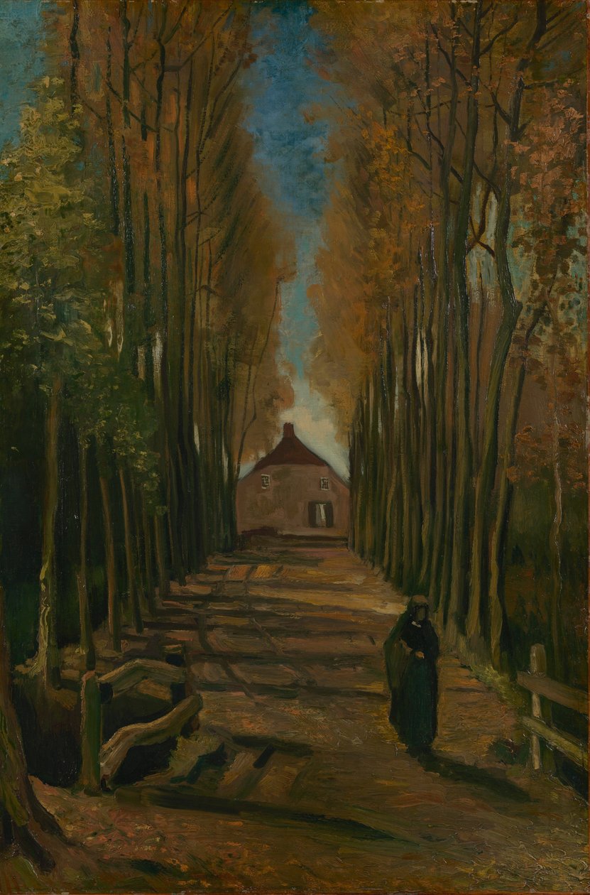 Poppeli -katu syksyllä tekijältä Vincent van Gogh