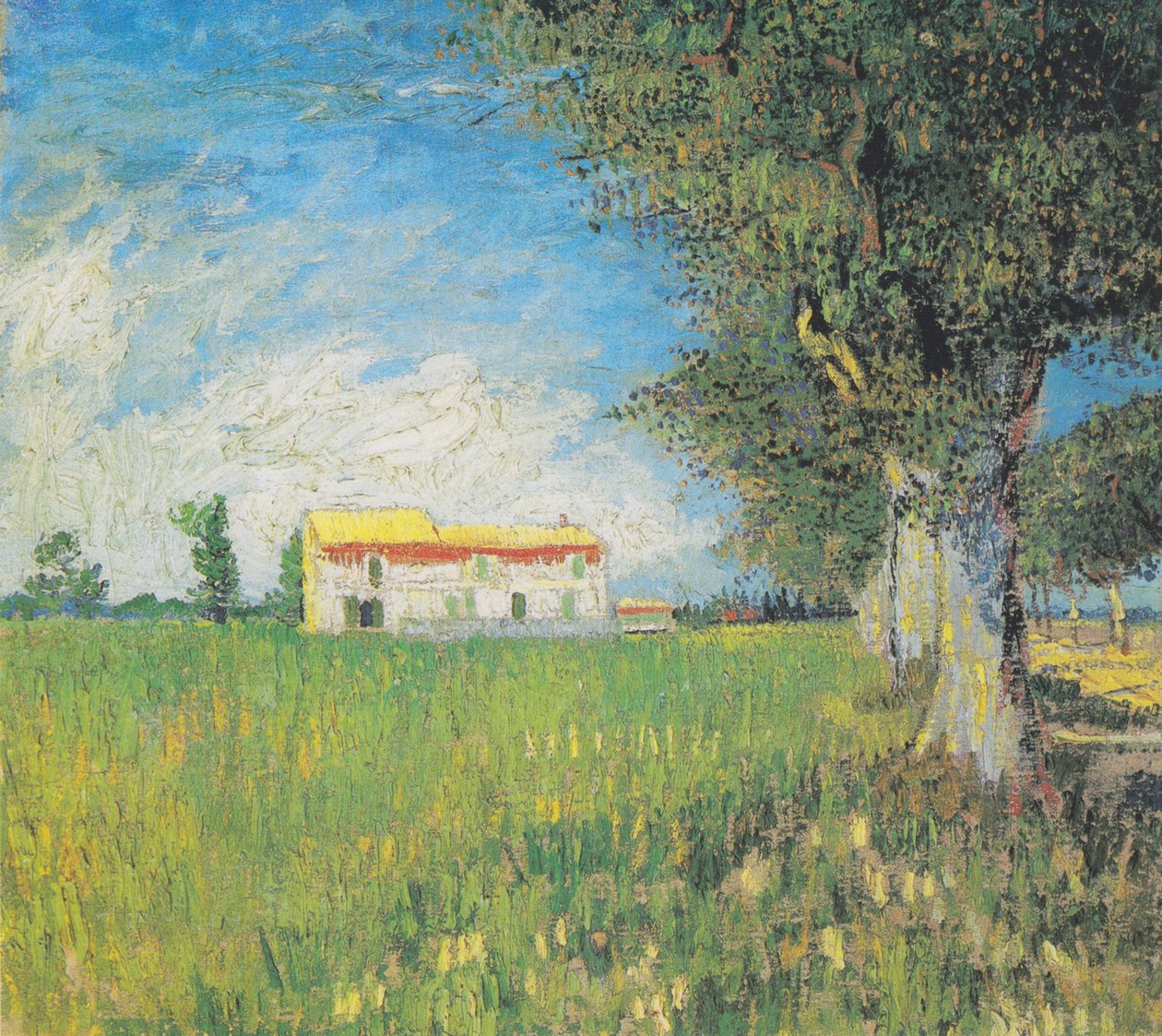 Maalaistalo vehnäpellolla tekijältä Vincent van Gogh