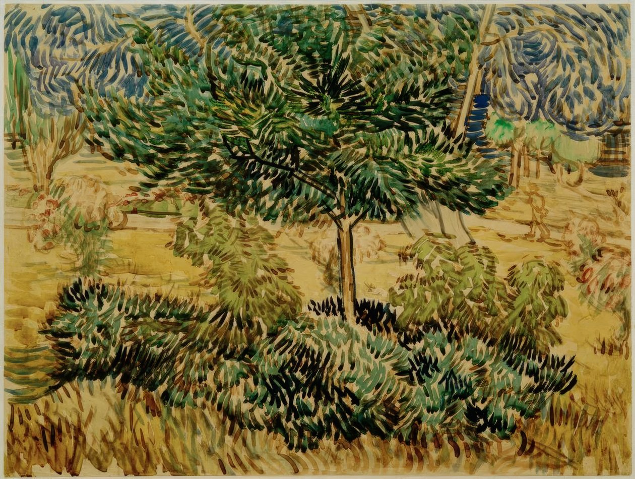 Baum und Sträucher im Garten der Heilanstalt tekijältä Vincent van Gogh