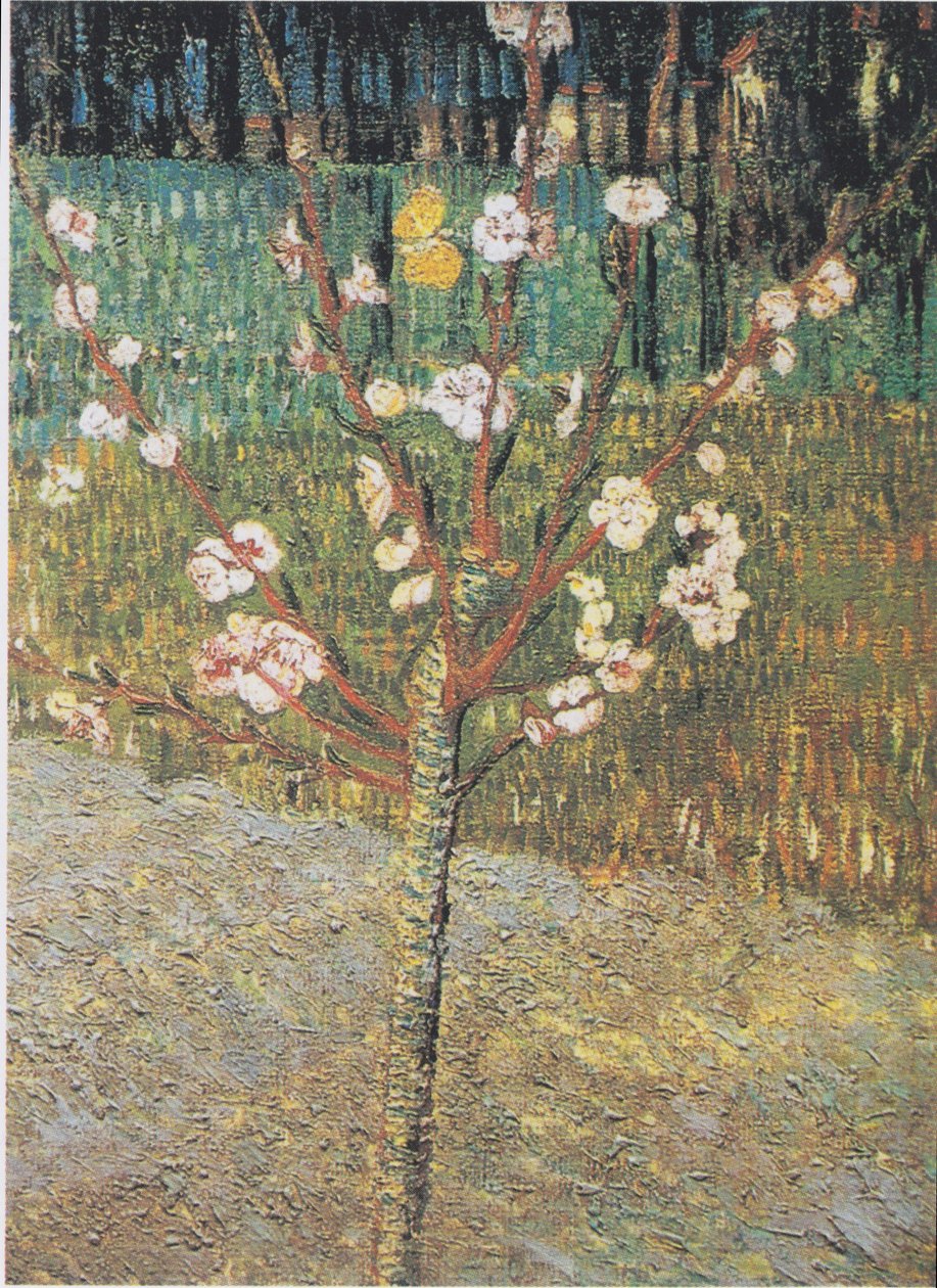 Kukkiva mantelipuu tekijältä Vincent van Gogh