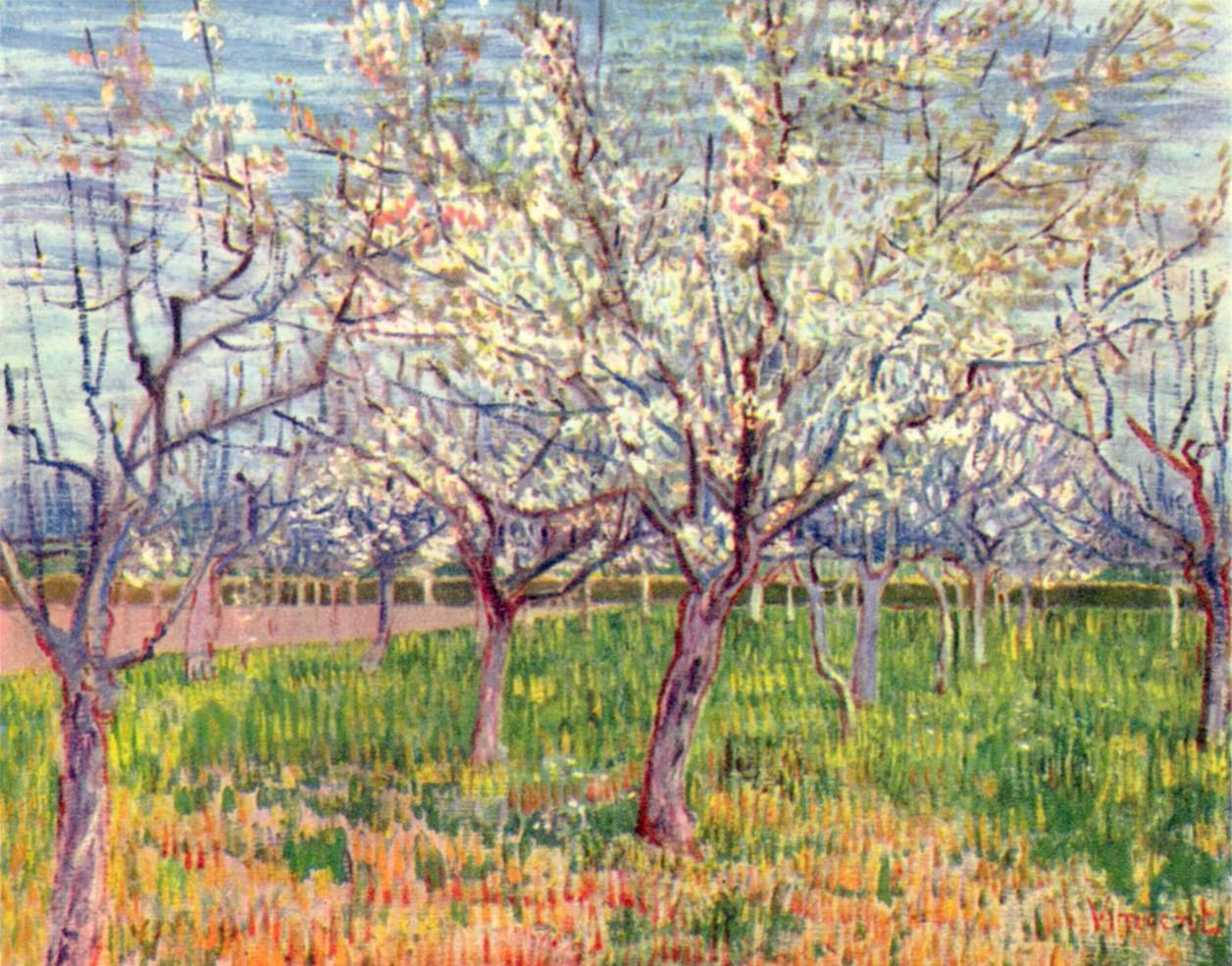 Blühender Obstgarten tekijältä Vincent van Gogh