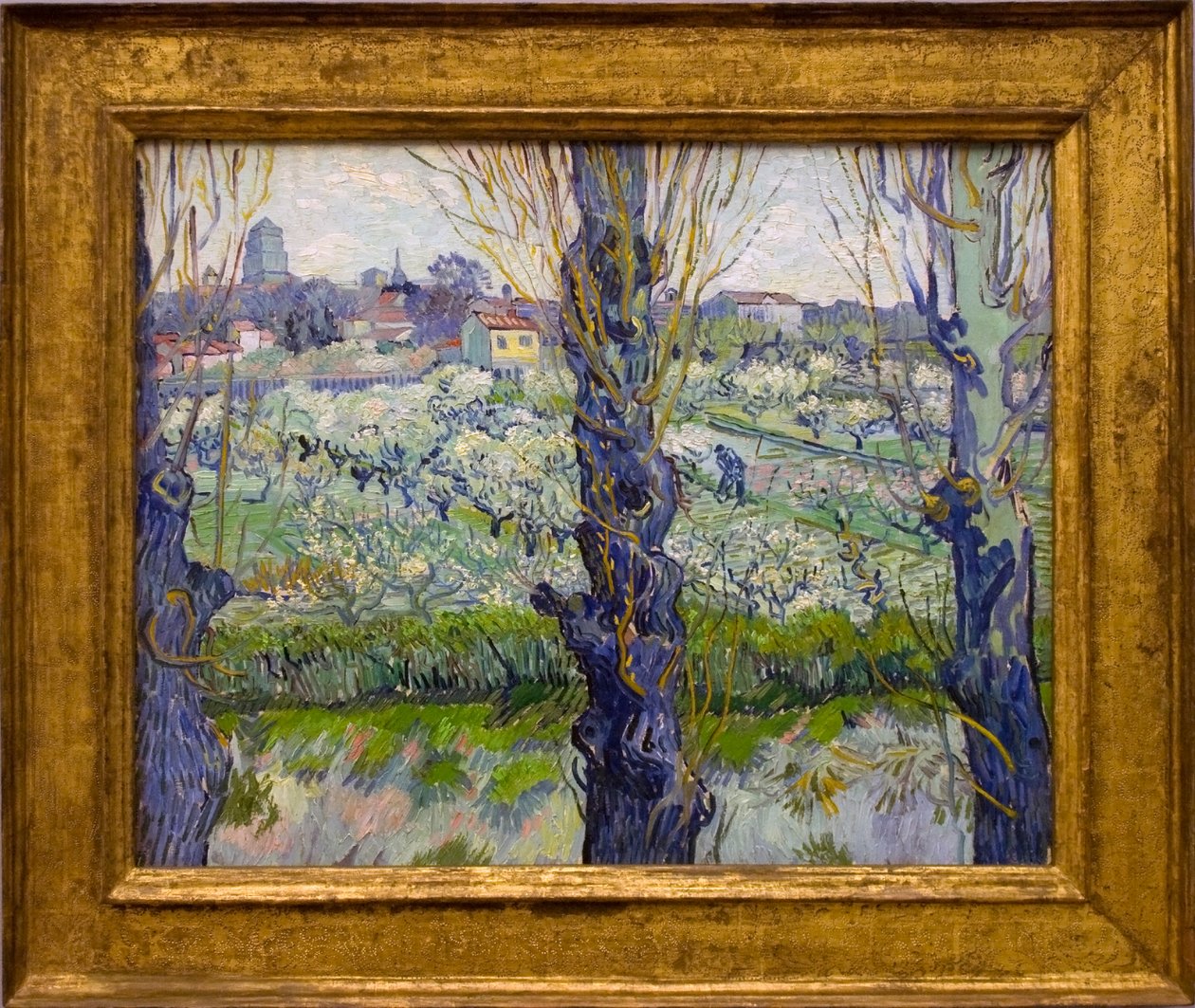 Blick auf Arles tekijältä Vincent van Gogh