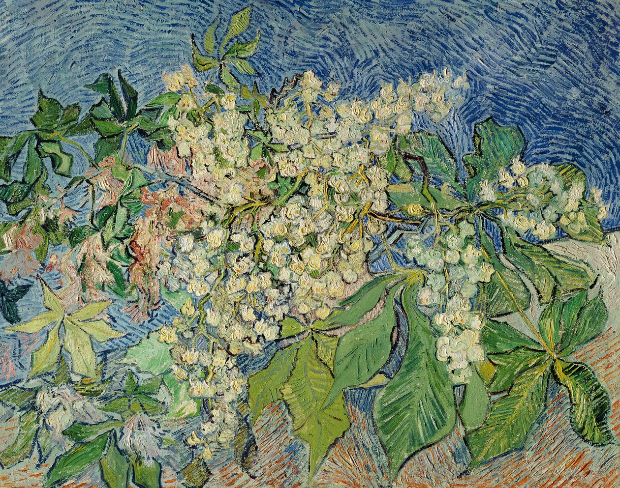 Kukkivat kastanjan oksat, 1890 tekijältä Vincent van Gogh