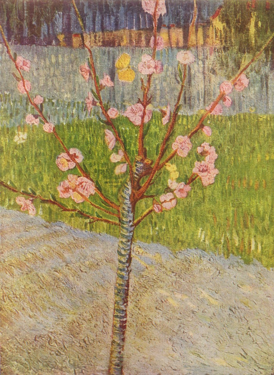 Boulevard de Clichy tekijältä Vincent van Gogh