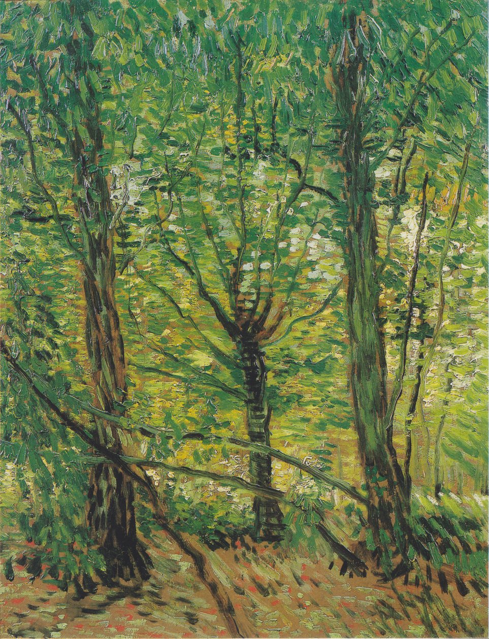Bäume und Unterholz tekijältä Vincent van Gogh