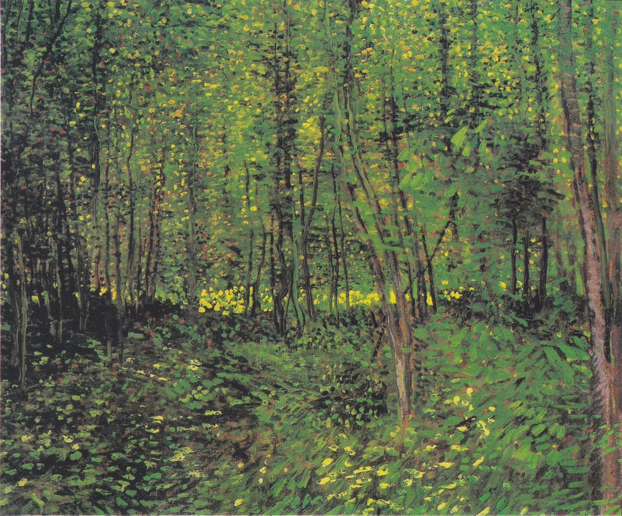 Puut ja aluskasvillisuus 2 tekijältä Vincent van Gogh