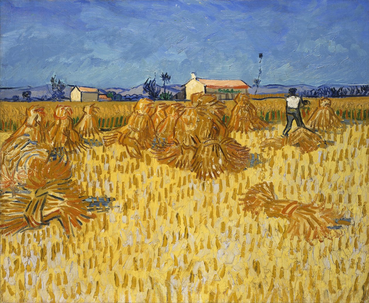 Maissin sadonkorjuu Provenceissa tekijältä Vincent van Gogh