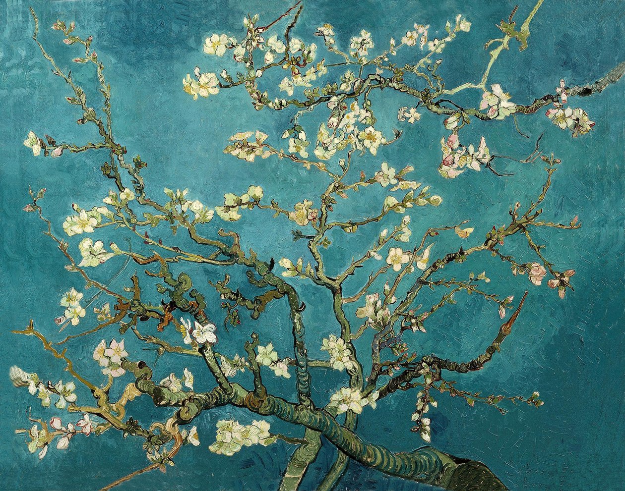 Mantelin kukka tekijältä Vincent van Gogh