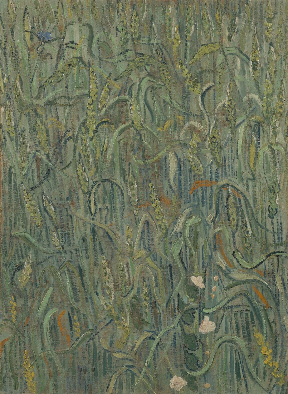 Vehnän korvat tekijältä Vincent van Gogh