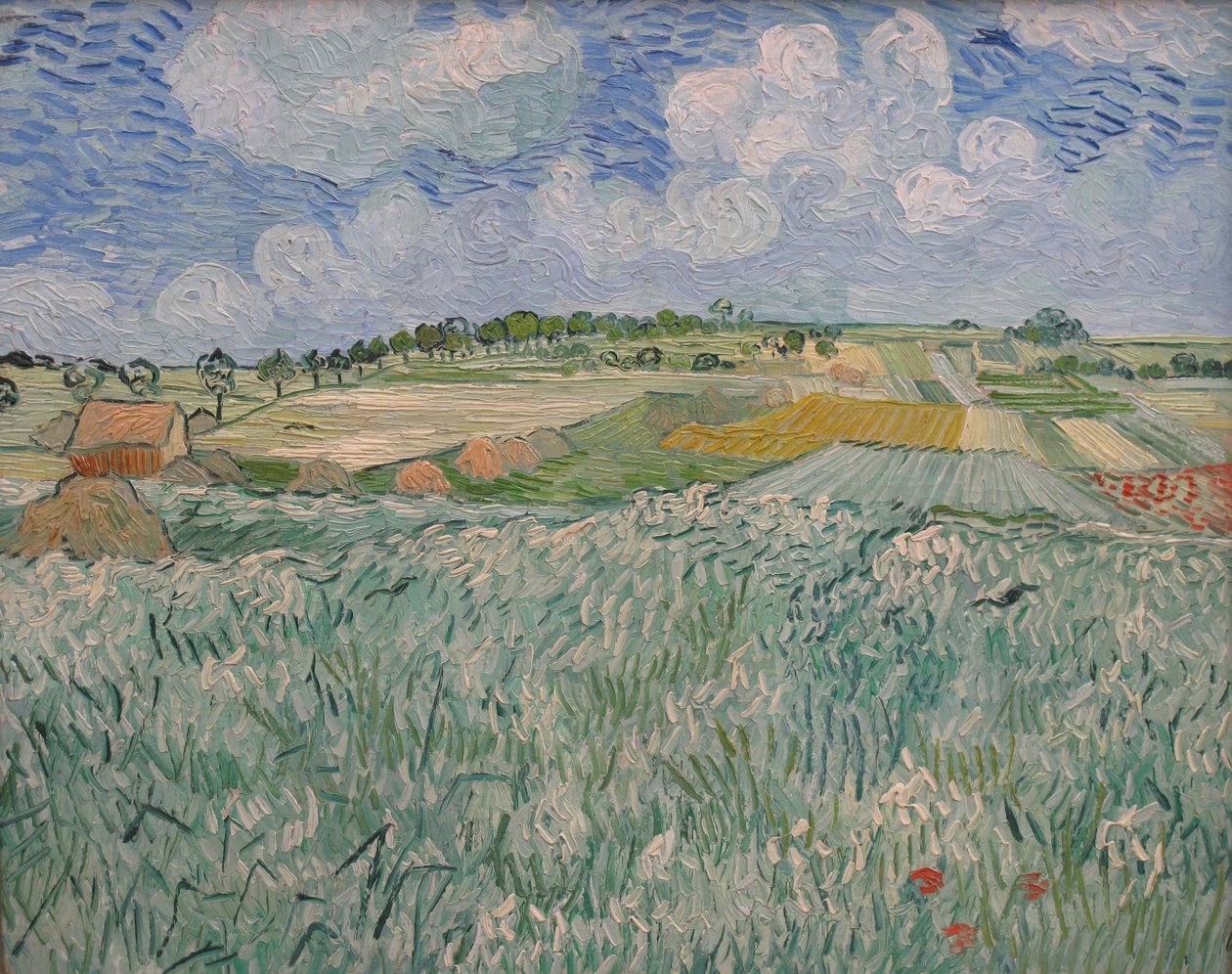 Ebene bei Auvers tekijältä Vincent van Gogh