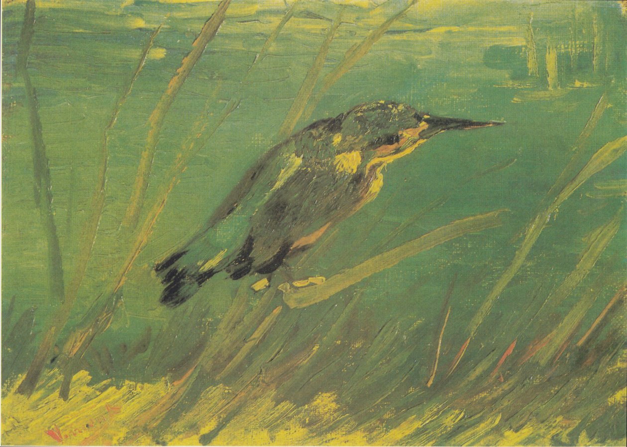 kuningaskalastaja tekijältä Vincent van Gogh