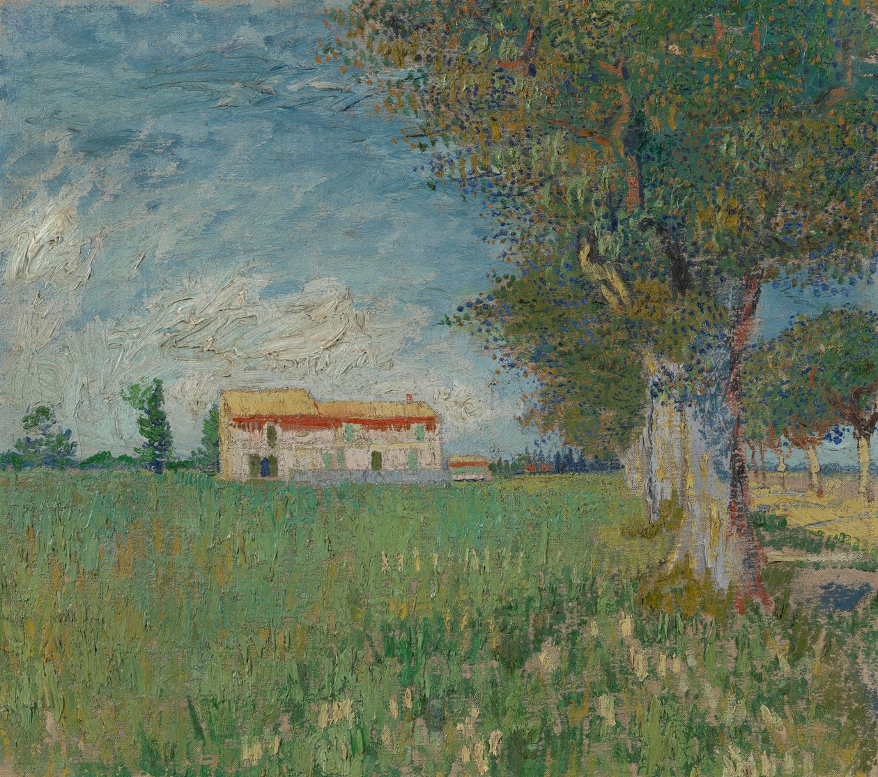 Maalaistalo vehnäpellolla tekijältä Vincent van Gogh