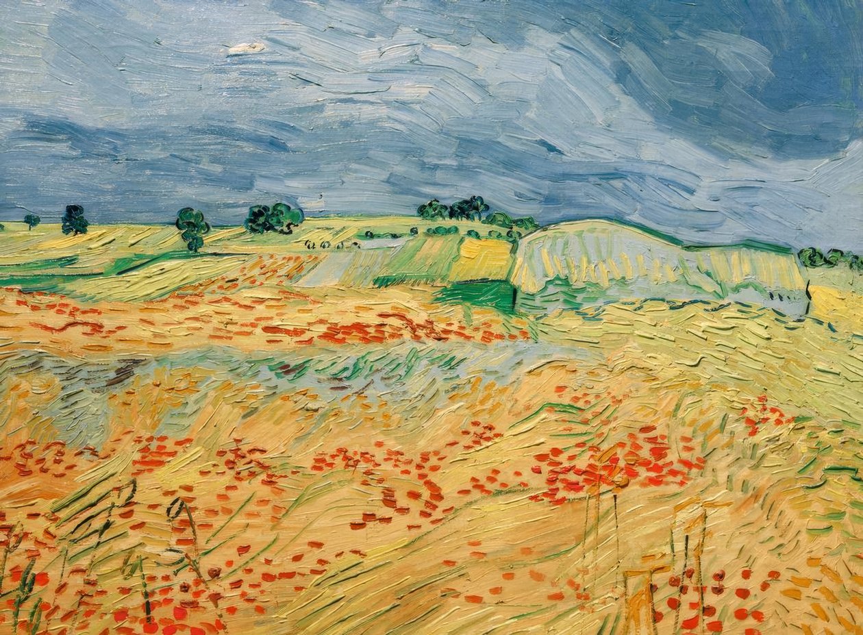 Felder, mit blühendem Mohn tekijältä Vincent van Gogh