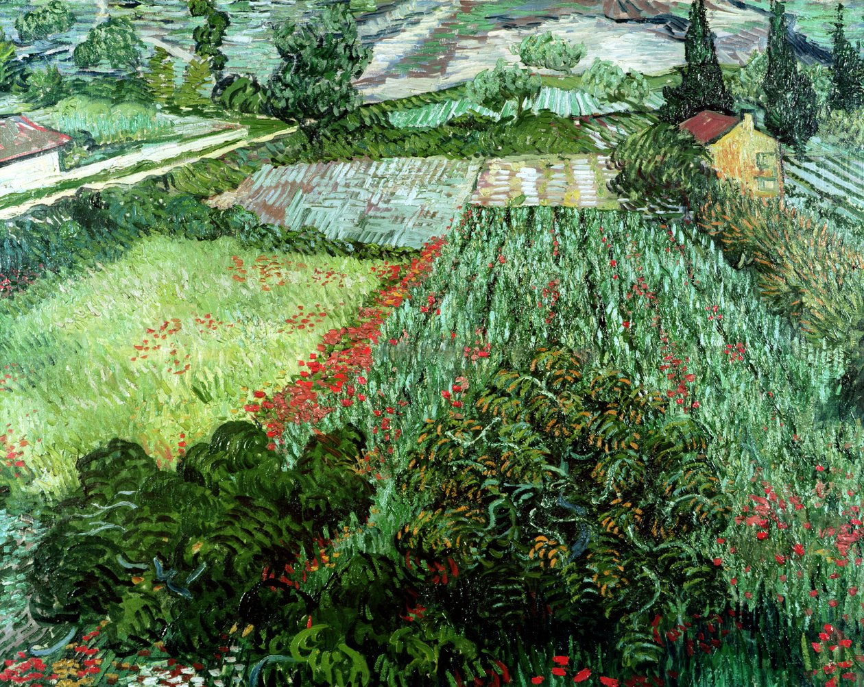 Unikkopelto, 1889 tekijältä Vincent van Gogh