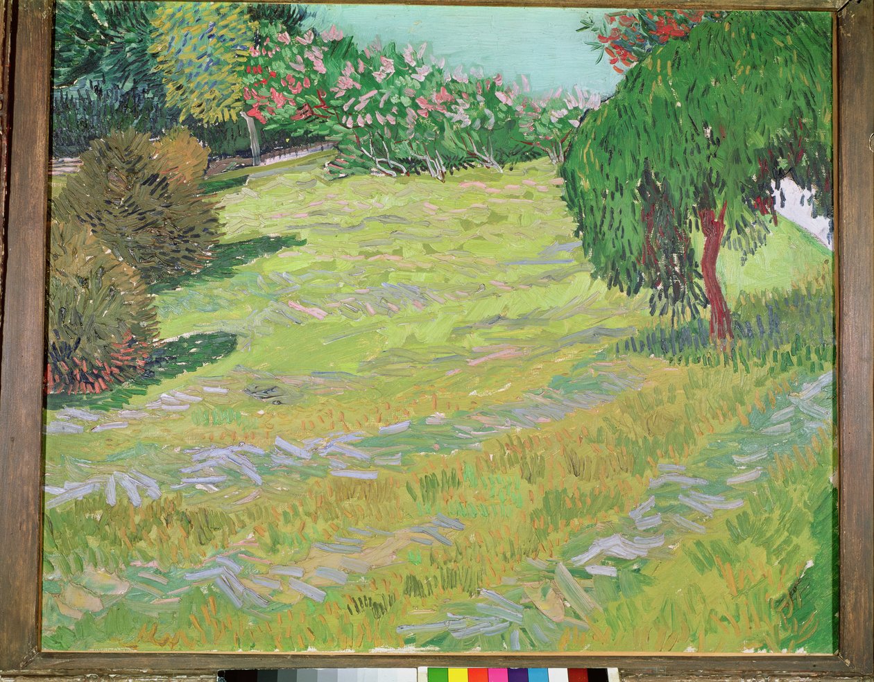 Field with Weeping Willow, 1888 tekijältä Vincent van Gogh