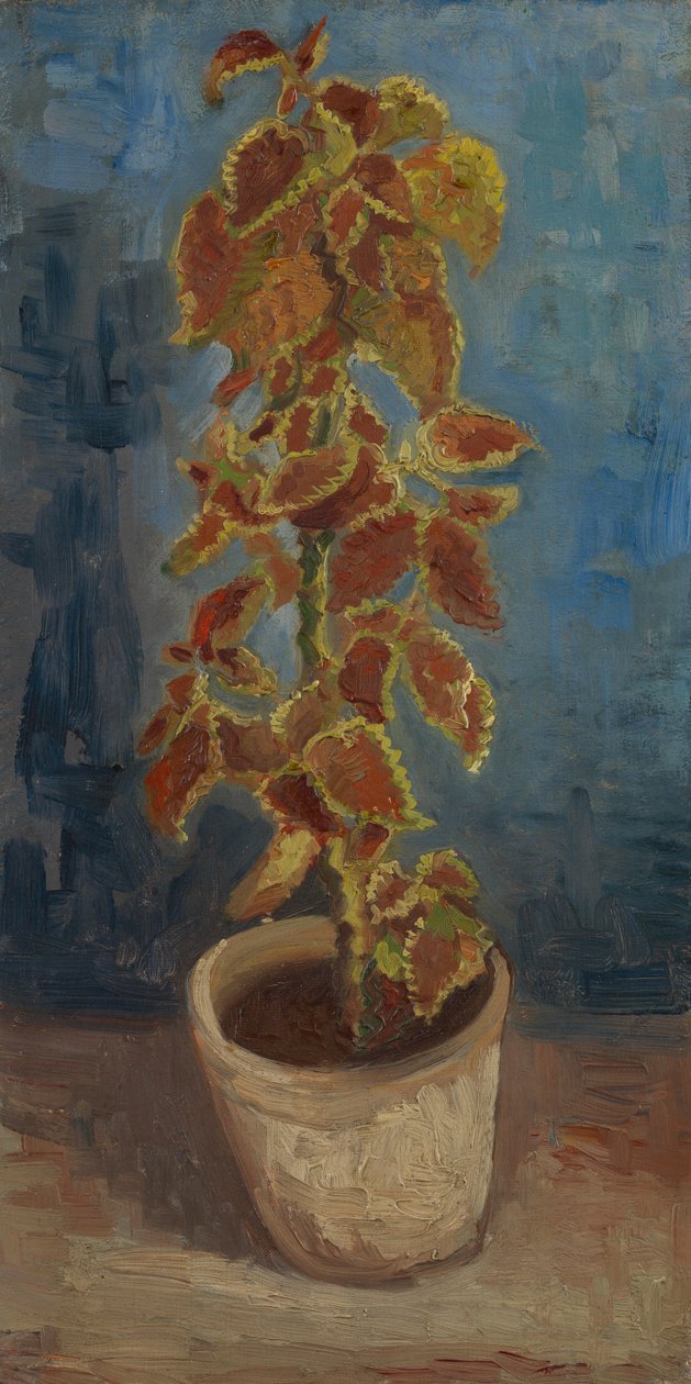 Liekin nokkonen kukkaruukussa tekijältä Vincent van Gogh
