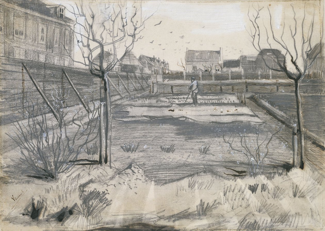 Kukkatarha Schenkwegin varrella Haagissa, 1882 tekijältä Vincent van Gogh