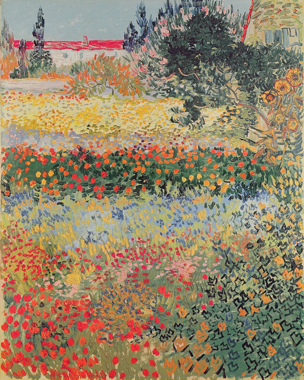 Garden in Bloom, Arles, heinäkuu 1888 tekijältä Vincent van Gogh