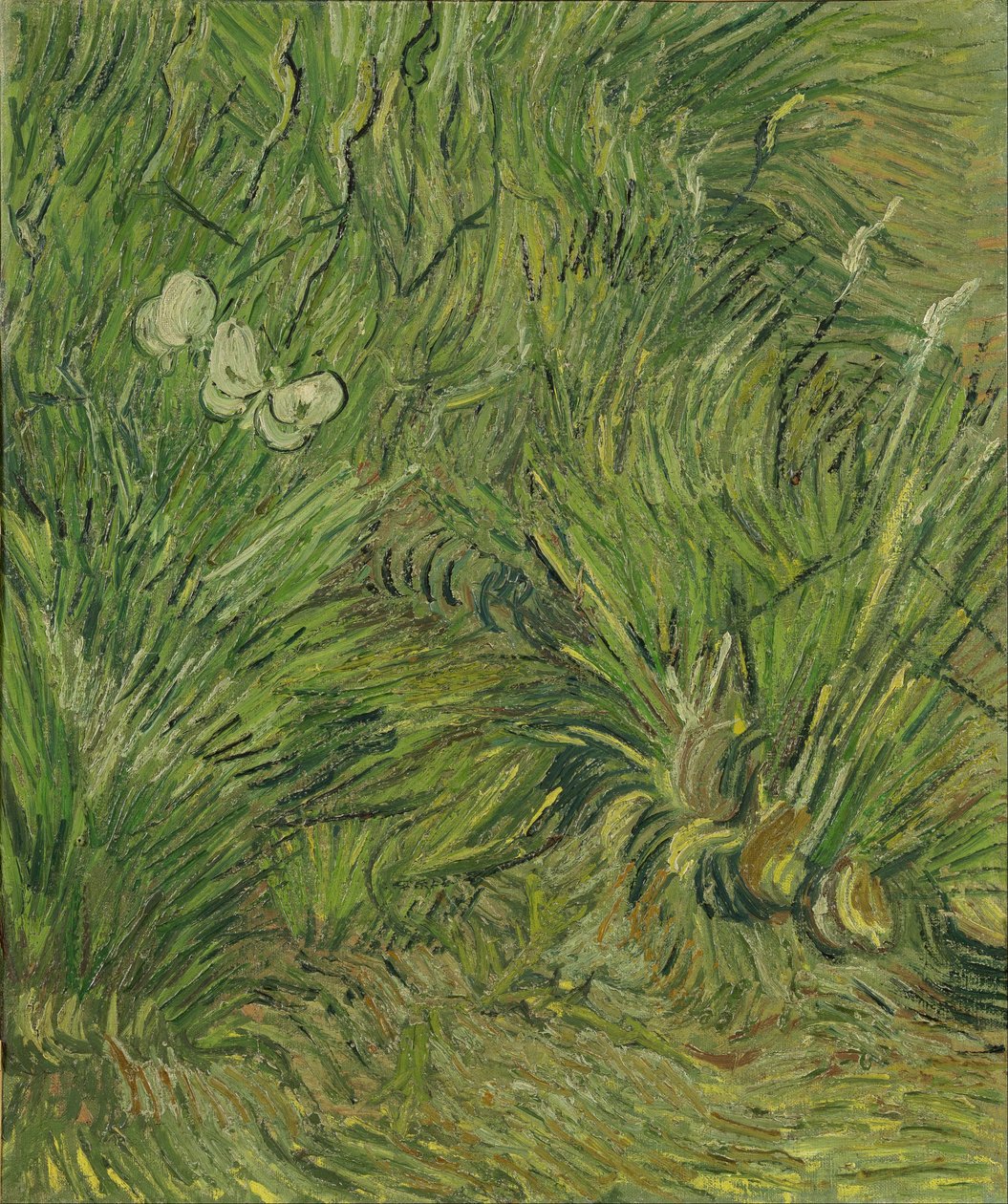 Puutarha, jossa on perhosia tekijältä Vincent van Gogh