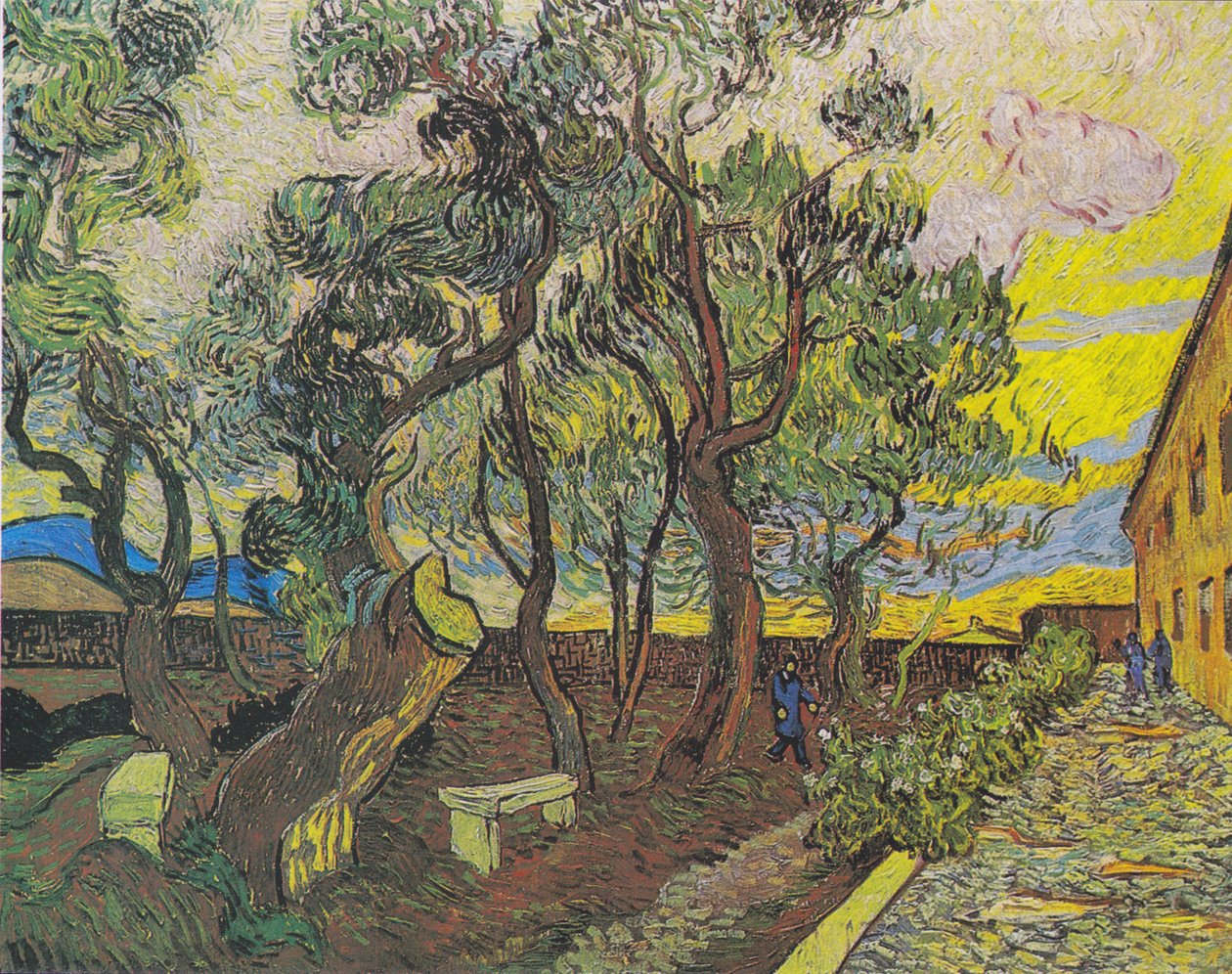 Saint-Paulin sairaalan puutarha 3 tekijältä Vincent van Gogh