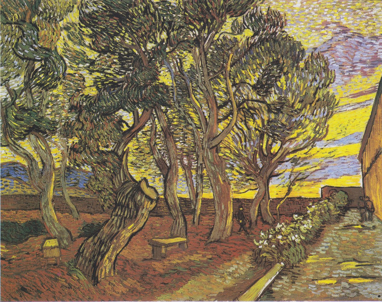Saint-Paulin sairaalan puutarha 4 tekijältä Vincent van Gogh