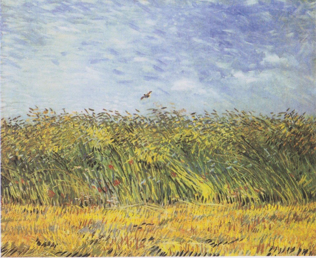 Viljapelto, jossa on unikot ja haukka tekijältä Vincent van Gogh