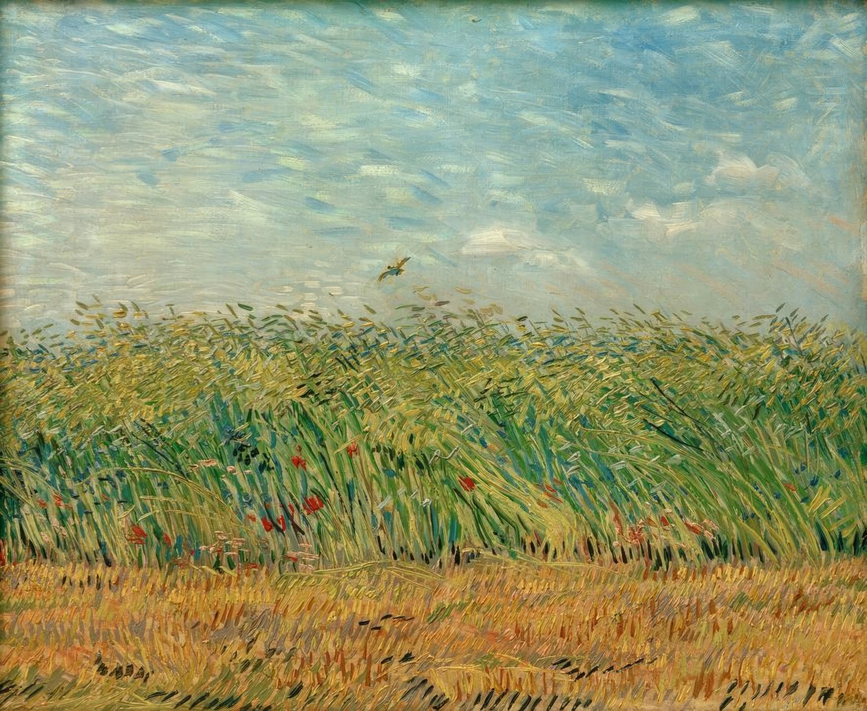 Getreidefeld mit Mohnblumen und Rebhuhn tekijältä Vincent van Gogh