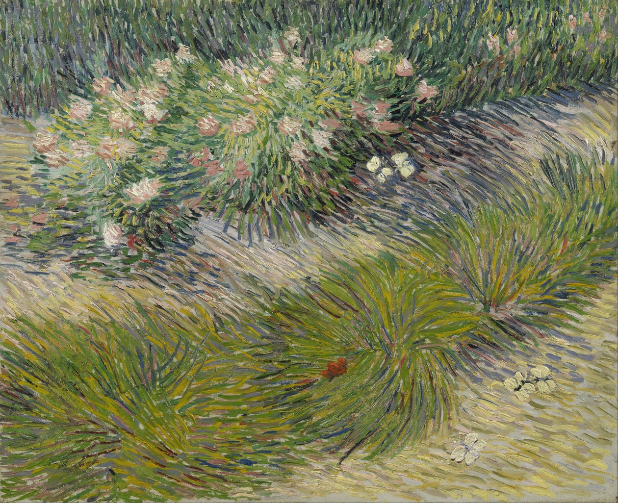 Ruohoa ja perhosia tekijältä Vincent van Gogh