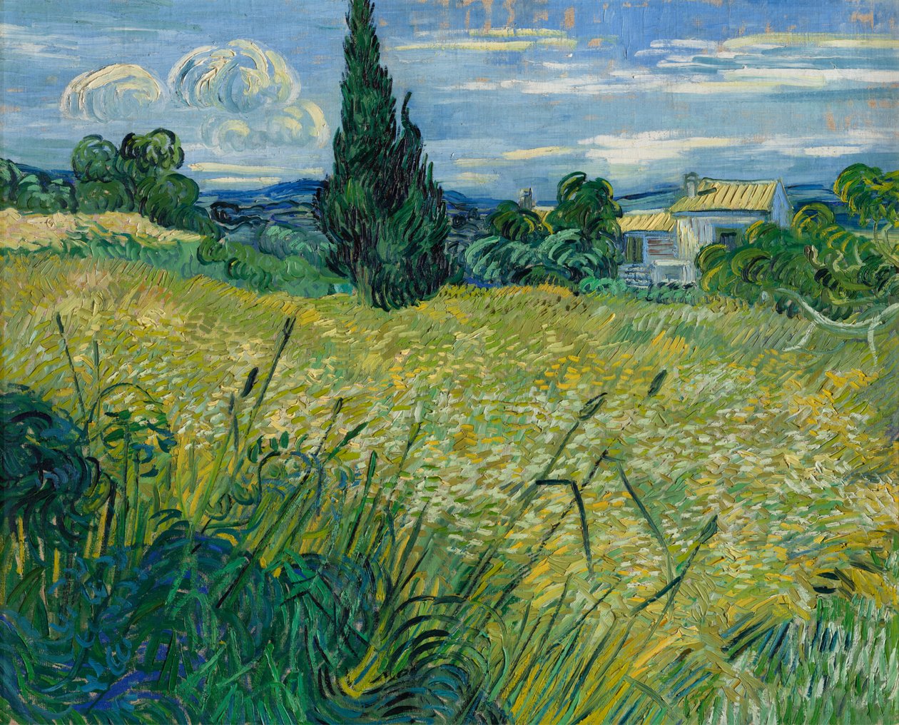 Vihreä vehnä, 1889 tekijältä Vincent van Gogh