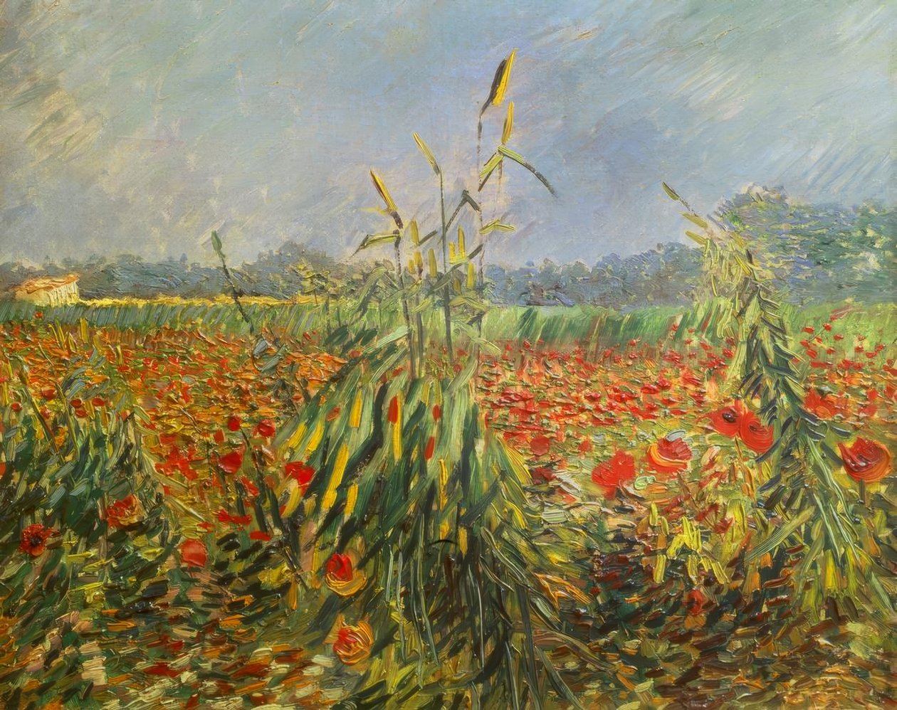 Grüne Kornhalme tekijältä Vincent van Gogh