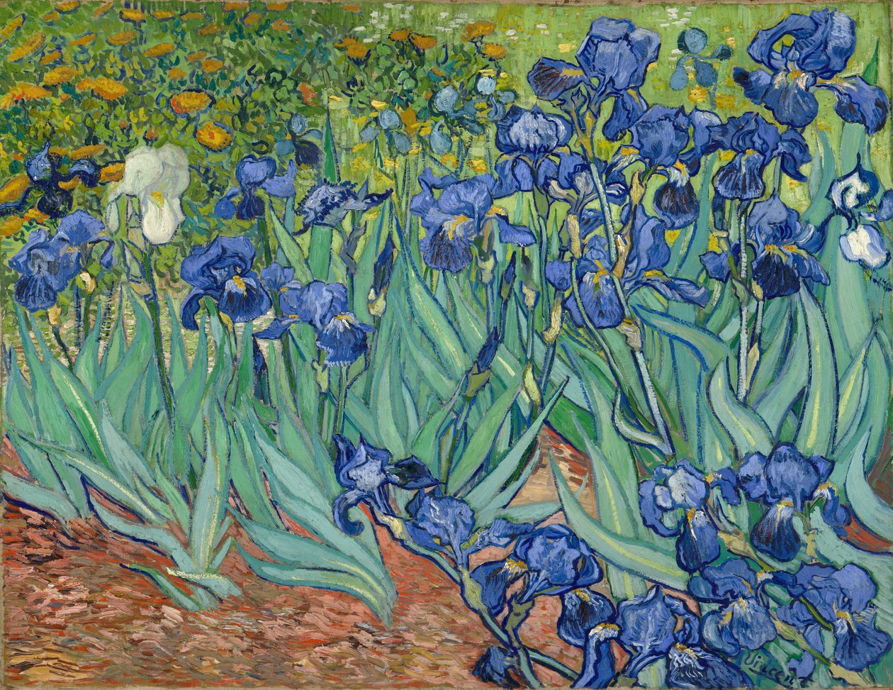 Iiris tekijältä Vincent van Gogh