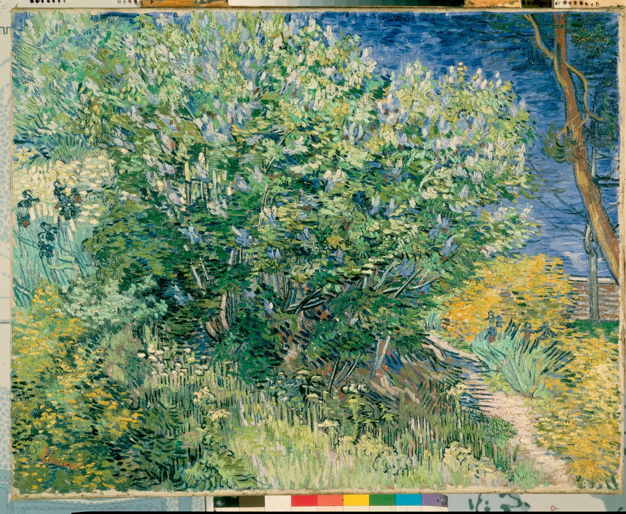 Lila Bush tekijältä Vincent van Gogh