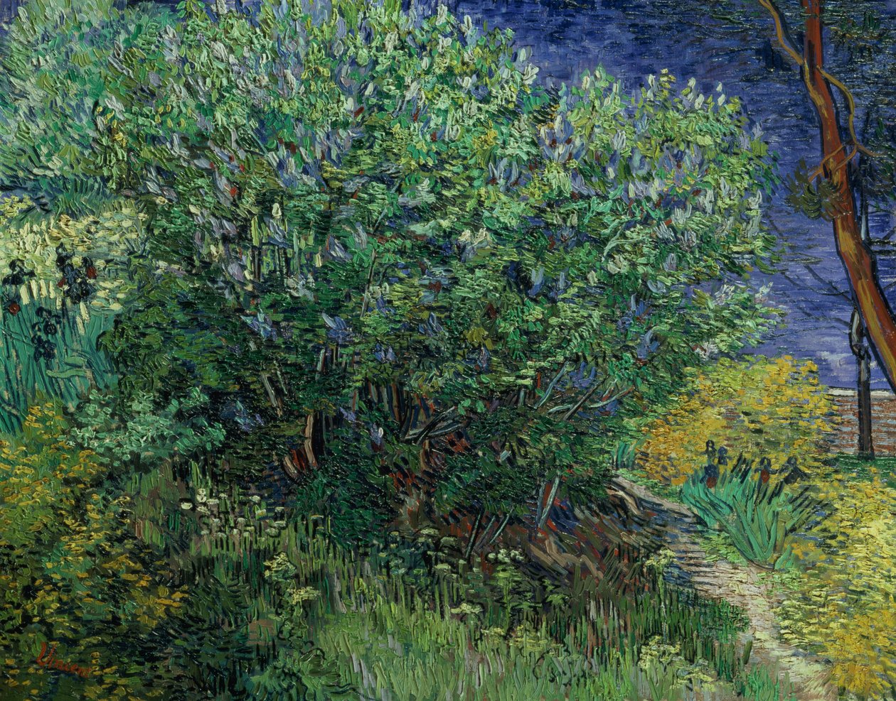 Lilac Bush, 1889 tekijältä Vincent van Gogh