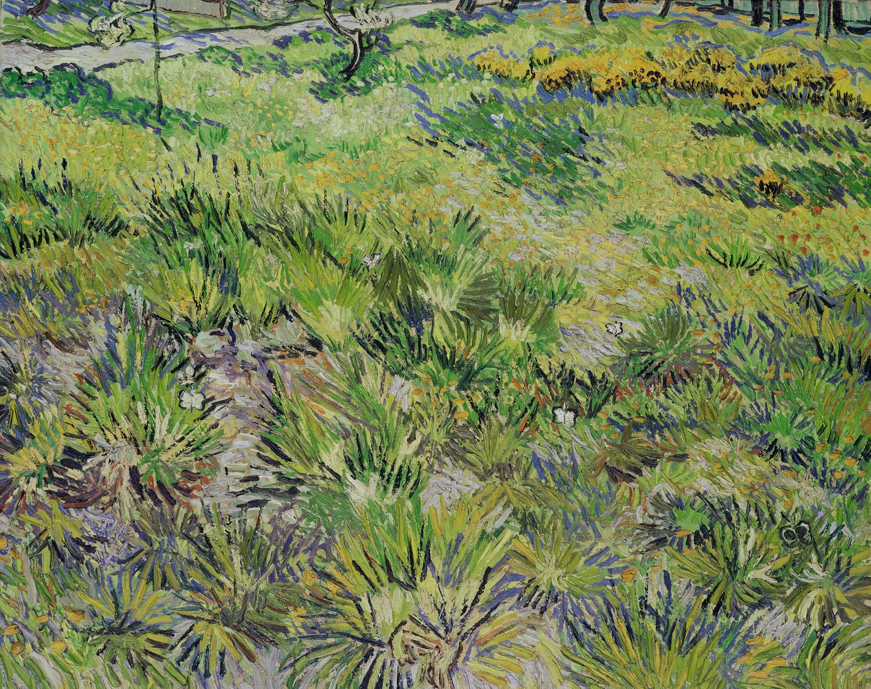 Niitty ja perhosia, 1890 tekijältä Vincent van Gogh