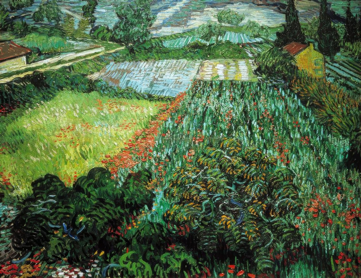 Mohnfeld tekijältä Vincent van Gogh