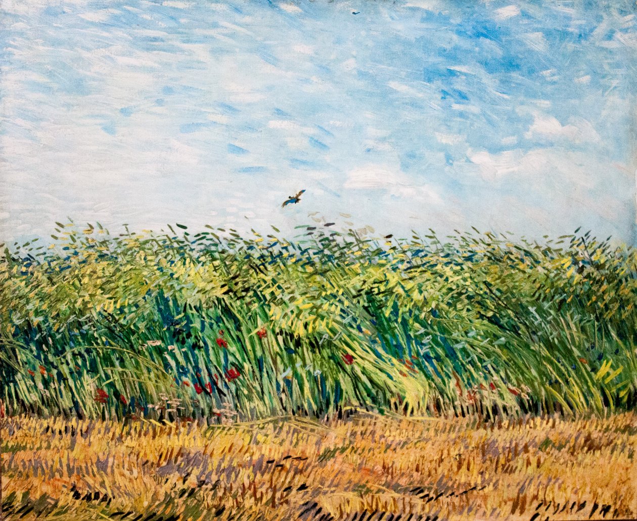 Minun unelmani tekijältä Vincent van Gogh