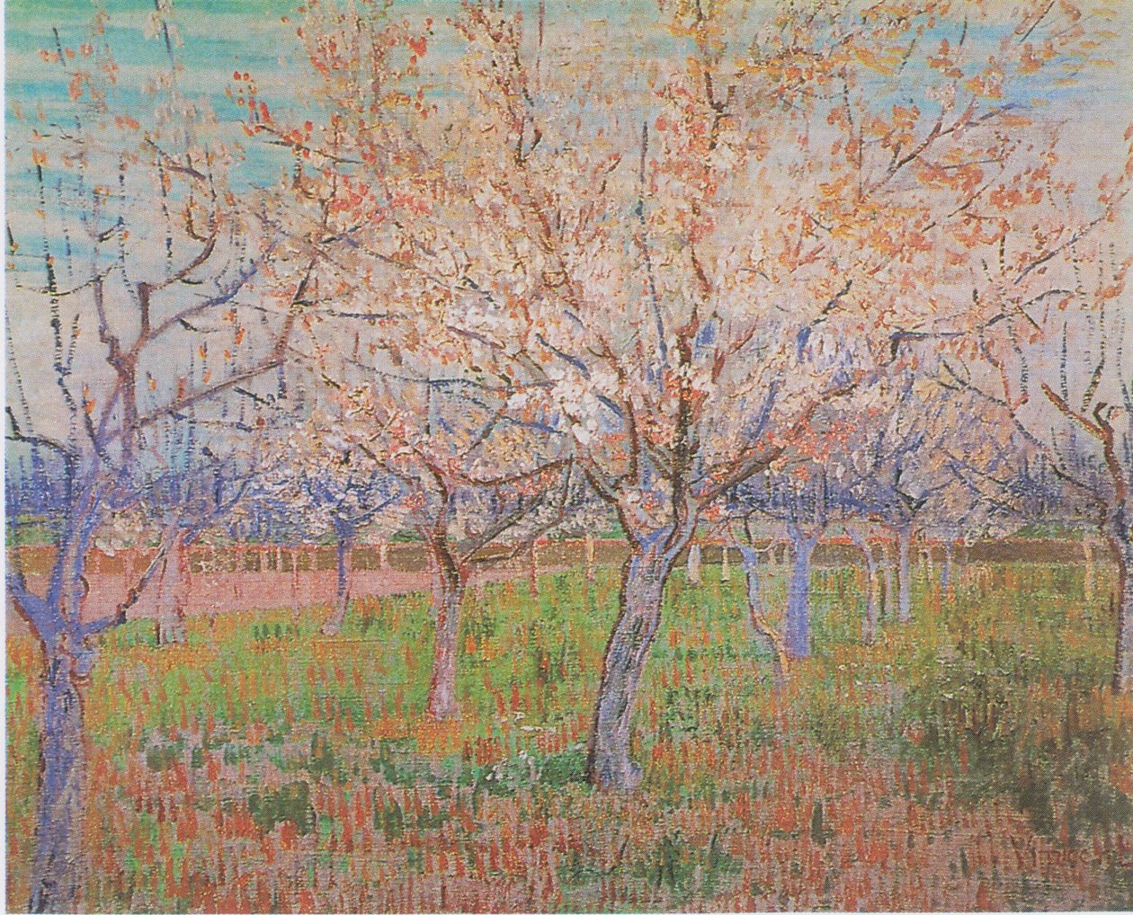 Puutarha kukkivilla aprikoosipuilla tekijältä Vincent van Gogh