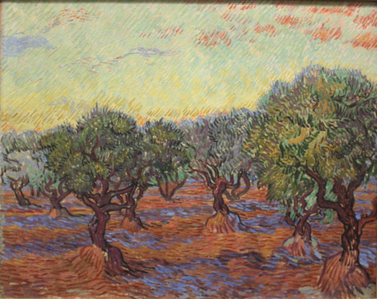 Oliivilehto tekijältä Vincent van Gogh