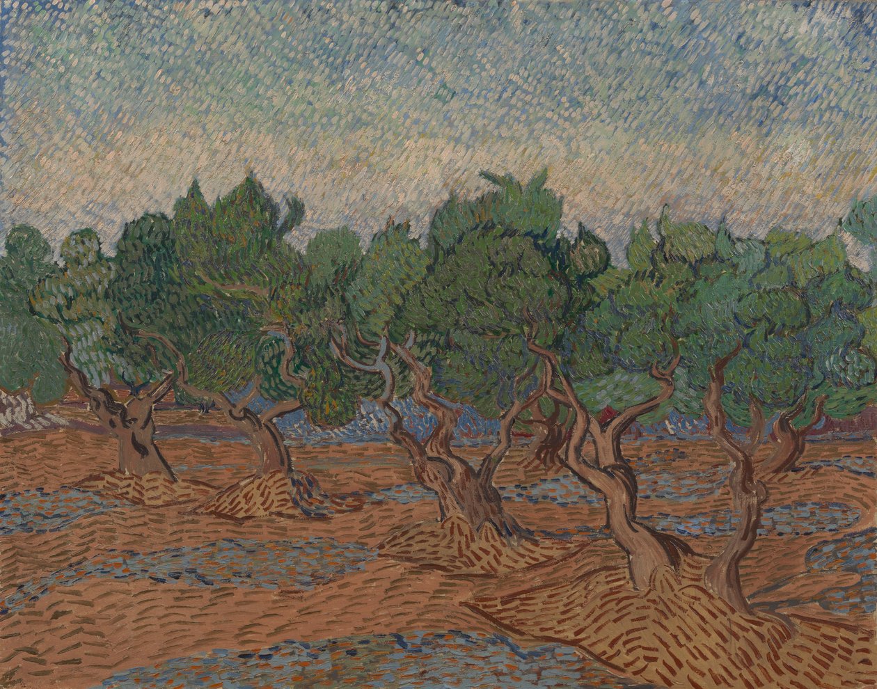 Oliivilehto tekijältä Vincent van Gogh