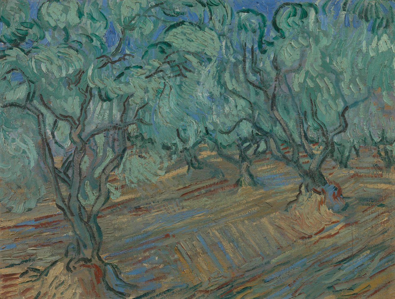 Oliivilehto tekijältä Vincent van Gogh