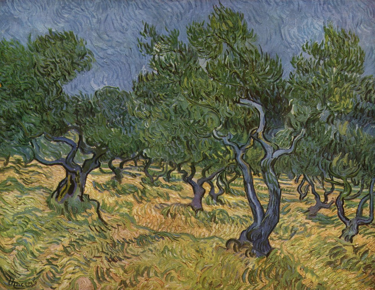 Olivenhain tekijältä Vincent van Gogh