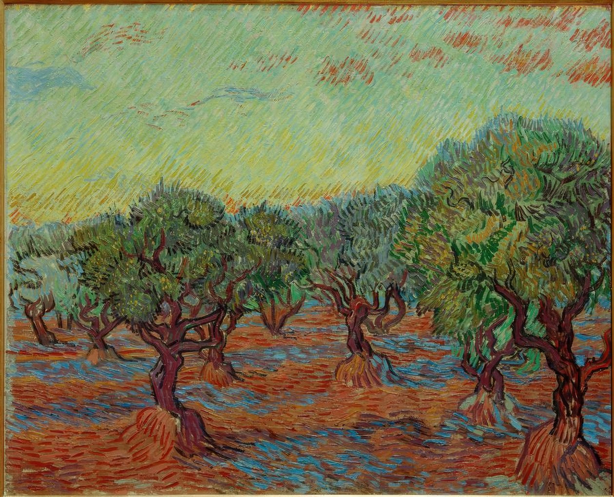 Olivenhain tekijältä Vincent van Gogh